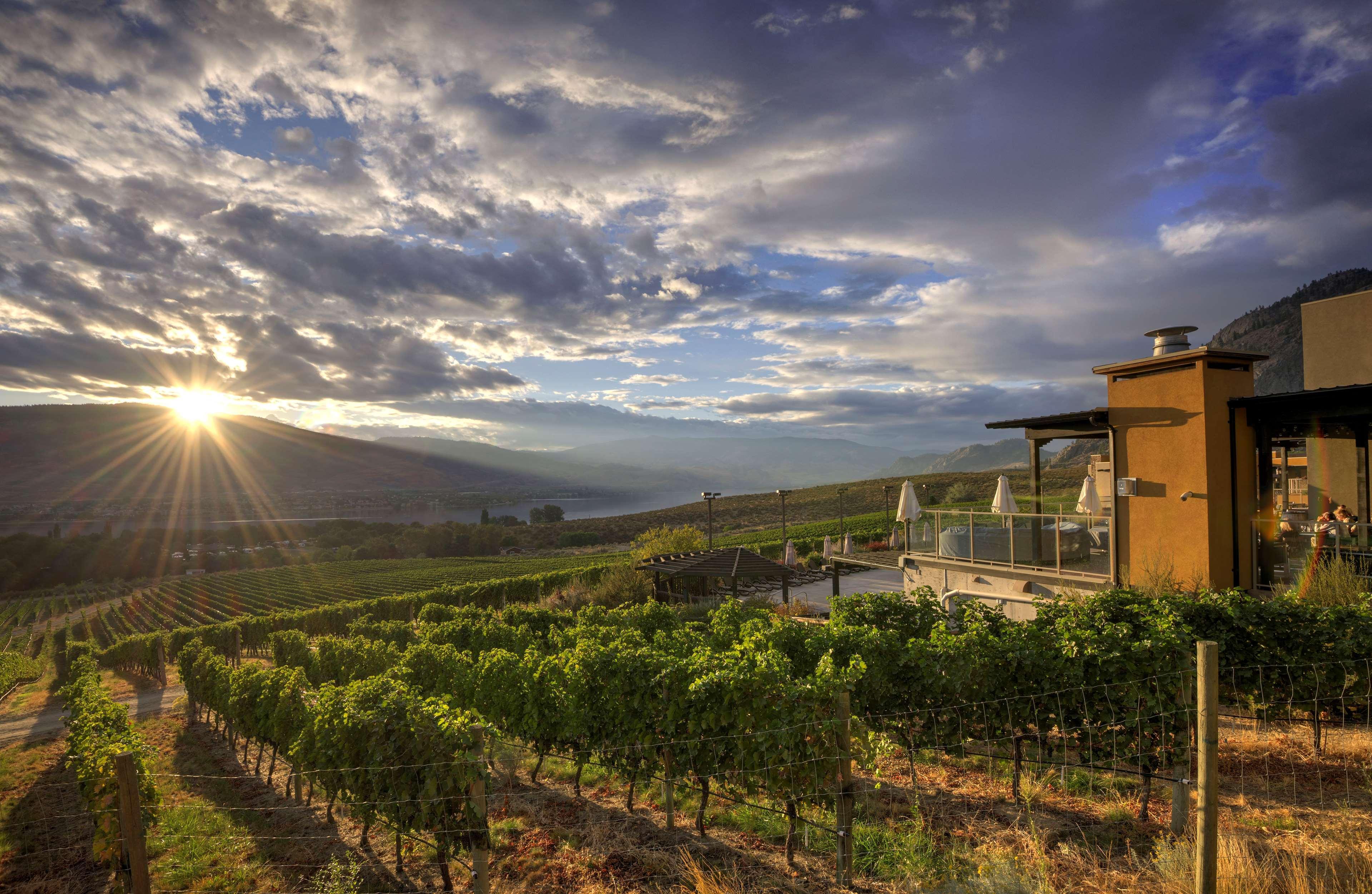 Spirit Ridge, In The Unbound Collection By Hyatt Hotell Osoyoos Eksteriør bilde